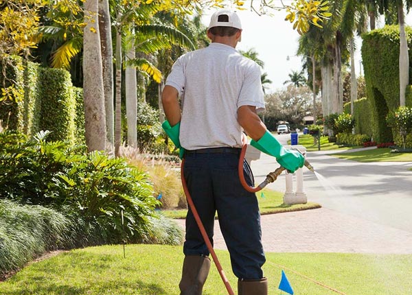 About Holt CA Pest Control